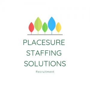 Placesure Staffing Solutions (6)